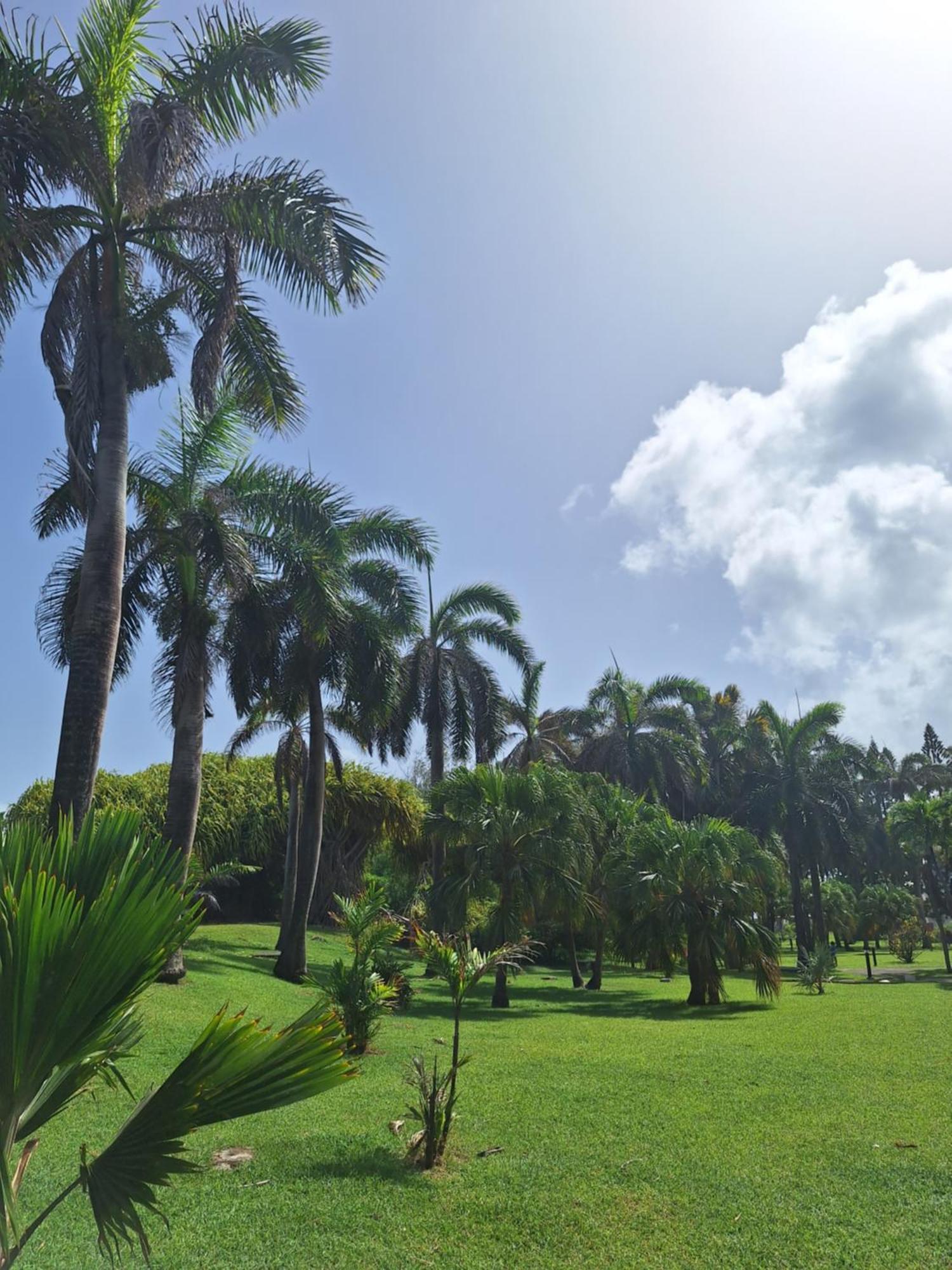 Emeraude Caraibes, Anse Des Rochers *